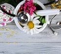 Study reveals how manufacturing methods affect herbal medicine potency