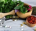 Study reveals how manufacturing methods affect herbal medicine potency