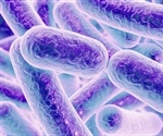 Nature's best mercury fighters: Bacteria
