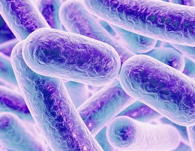 Researchers uncover how bacteria hijack tick cells to survive and spread