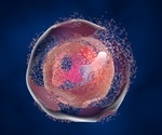 Real-Time Evaluation of Necrosis and Apoptosis