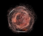 Study provides further insight into the molecular control of apoptosis