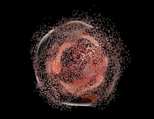 Study investigates a new mechanism of pyrethroid derivatives-moderated programmed cell death