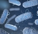 New technology can track beneficial bacteria after fecal microbiota transplants
