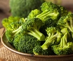 Broccoli and Brussels could be beneficial in preventing advanced blood vessel disease