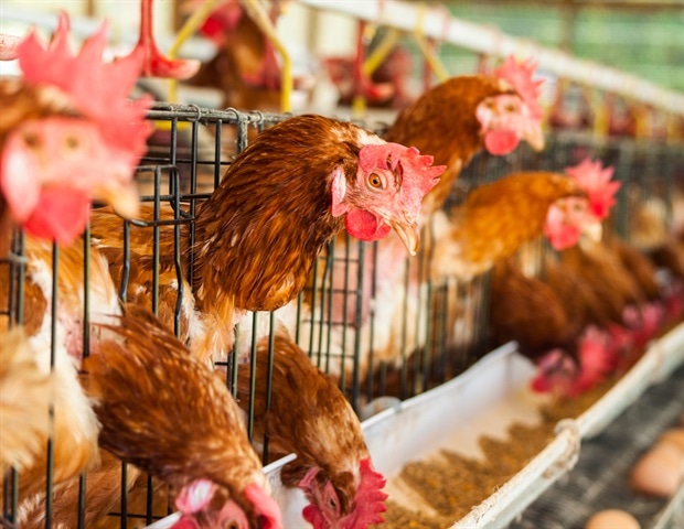In axing mRNA contract, Trump delivers another blow to US biosecurity, former officials say
