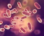 'Gut-on-a-chip' model recreates intestinal matrix critical for nutrient absorption