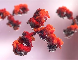 New AI framework enables reliable intracellular antibody design