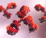 Rare human antibodies protect mice from lethal strains of influenza