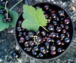 Call for American manufacturers to include medicinal ingredients from around the globe in foods, beverages