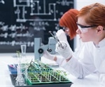 Researchers show how food estrogen migrates through the placenta