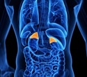 Long term steroid use raises risk of adrenal insufficiency