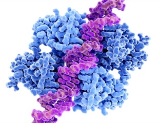 African health expert: genomic sequencing enables near real-time pathogen detection