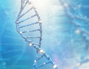 Biotherapeutic metabolite repairs gut damage caused by HIV infection