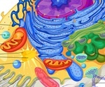 Chromatin Remodeling: Mechanisms and Importance