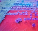 New test speeds up diagnosis of multi-resistant pathogens