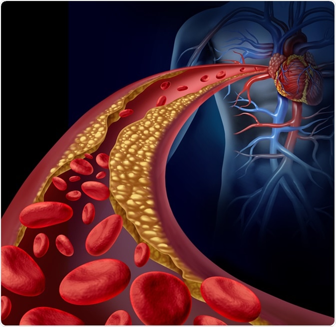 Blood Clotting Process