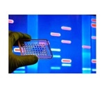 Conformance of genetic characteristics found to be crucial for longer preservation of kidney graft