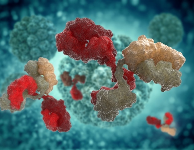 Engineered protein silences harmful T cells in autoimmune disease