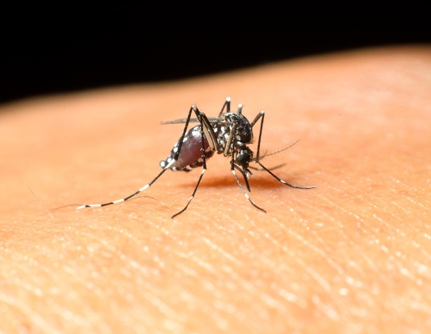 Florida chickens help scientists forecast West Nile virus outbreaks