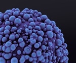 New book explores how patients and doctors deal with cancer