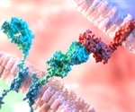 Moffitt researchers shed light on how CAR T cells function mechanistically