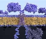 CAR-T cells carry memory of past antigen encounters