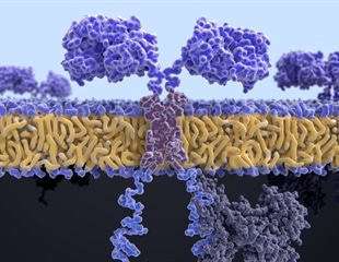 In vivo CAR-T therapy transforms customized treatments into universal medicines