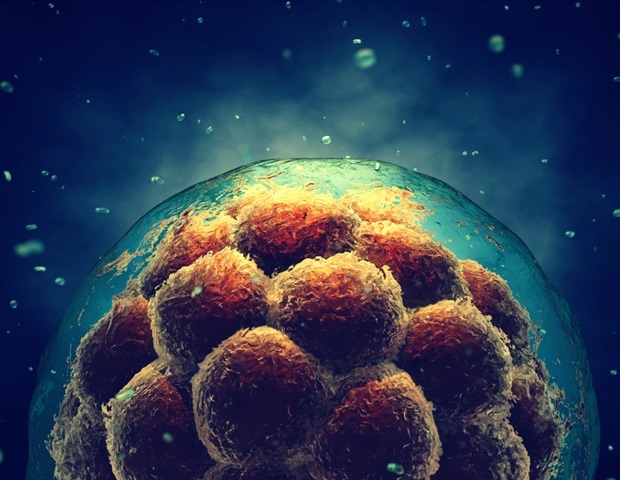 New technique boosts production of canine stem cells for veterinary use