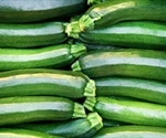 Zucchini, brown rice, turkey soup - Medicaid plan offers food as medicine