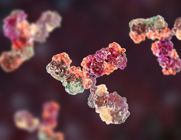 Engineered protein silences harmful T cells in autoimmune disease