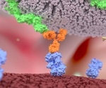 Study provides new insights into development of skin-depigmenting disease vitiligo