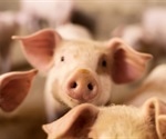 Swine flu no longer a threat to Americans: Report
