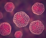 RVFV uses cancer pathway to hijack host cell and cause infection