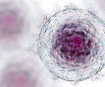 Study shows how gastric stem cells fight colonizing bacteria