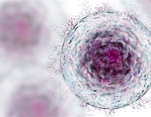 SwRI-developed single-use 3D-printed bioreactor harvests induced Pluripotent Stem Cells