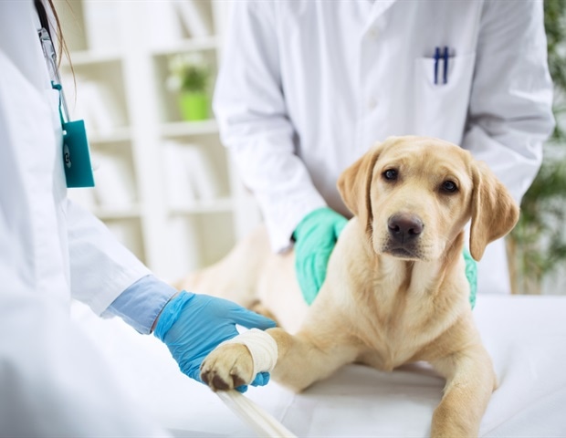 A 9-point checklist to improve AI-based image analysis in pathology