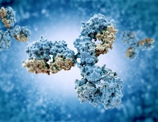 Engineered protein silences harmful T cells in autoimmune disease