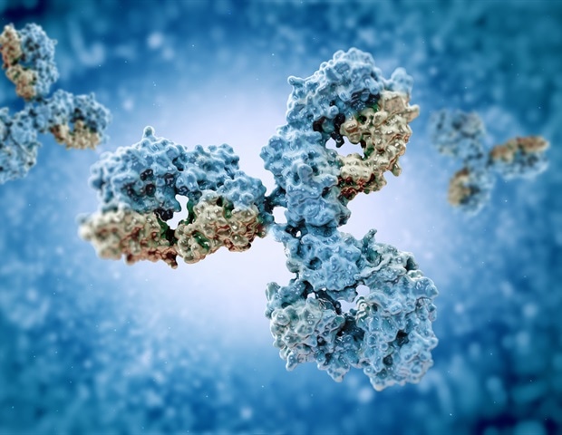 Tracking antibodies reveals four distinct COVID-19 vaccine responses