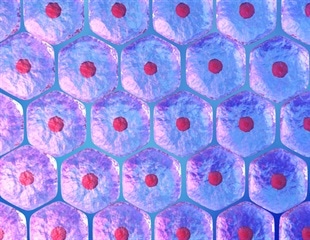 Stem cell infusions improve symptoms in butterfly skin disease