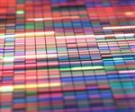 Researchers find distinct microbiomes in airway, gastrointestinal systems of children with chronic cough
