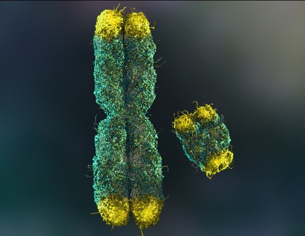 Wasatch Biolabs expands service portfolio with Oxford Nanopore assays in Pharmacogenomics, Telomere Sequencing, and mRNA Vaccine Quality Control