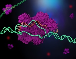 CRISPR-Cas3: A safer gene-editing tool shows promise for transthyretin amyloidosis treatment