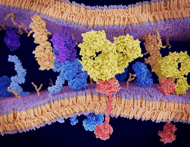 Tarlatamab and anti-PD-L1 therapy combination demonstrates manageable safety profile in first-line ES-SCLC