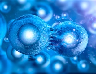 Researchers discover new mutation hotspot in the human genome