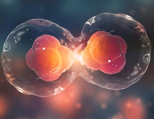 Scientists discover spindle's self-repair mechanism for accurate cell division