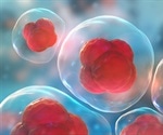 New tool could help researchers understand the neural basis of olfaction
