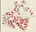 Novel therapeutic agent proposed to combat drug resistant tuberculosis
