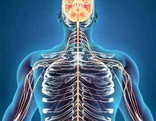 Highly potent opioid shows potential as therapy for pain and opioid use disorder