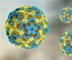 Scientists develop mathematical model to predict viral outbreaks in advance